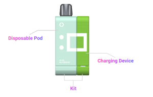 Elfbar EW9000 Disposable Vape Kit Canada